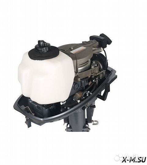 Лодочный мотор allfa CG T5