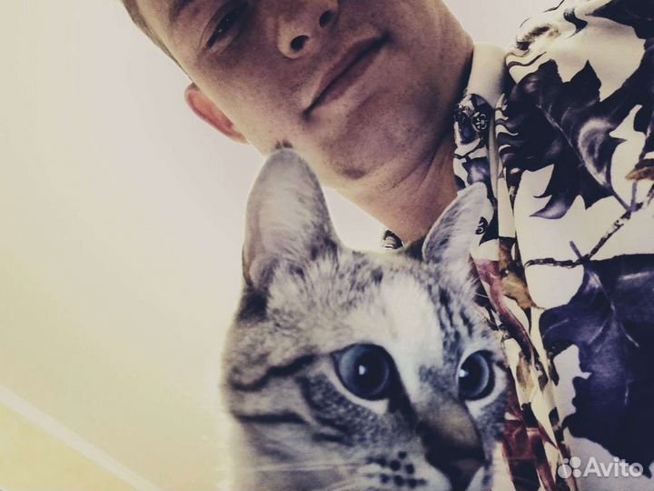 Ветеринарный врач выезд на дом