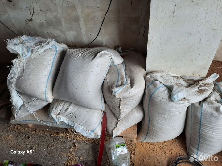 Кукуруза, пшеница, ячмень