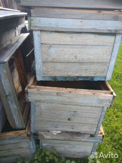 Улей с магазином для пчел