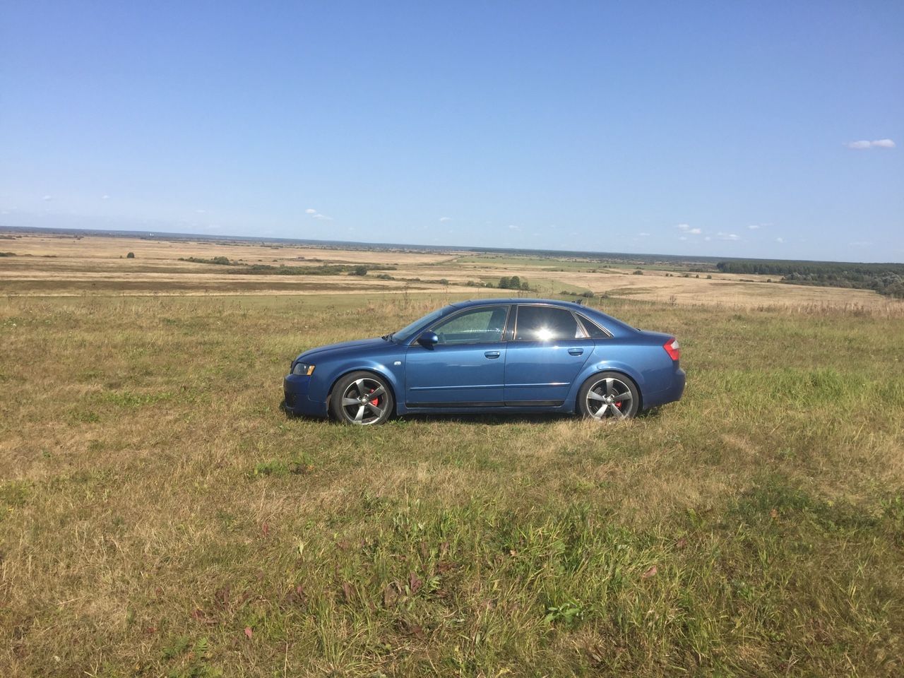 Audi A4: фото владельца