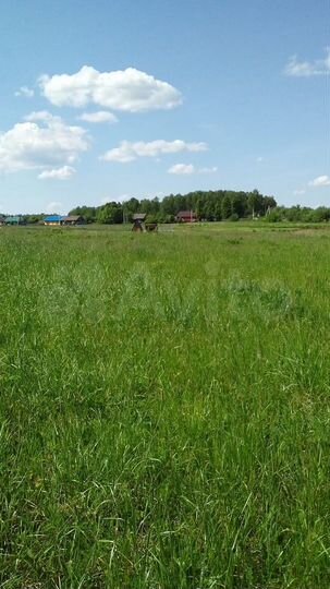 Участок 20 сот. (ИЖС)