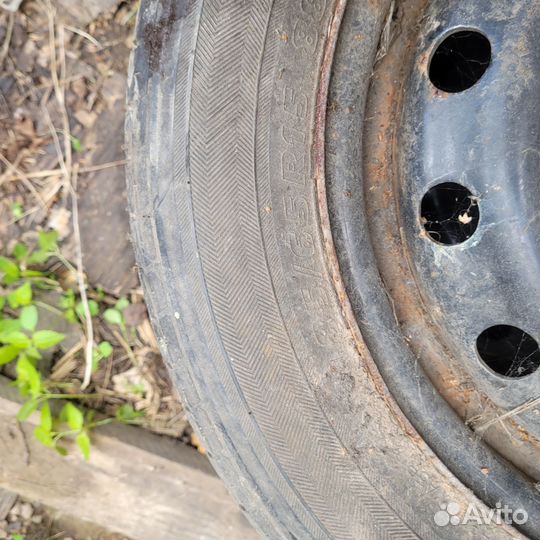 Запаска r15 wv polo