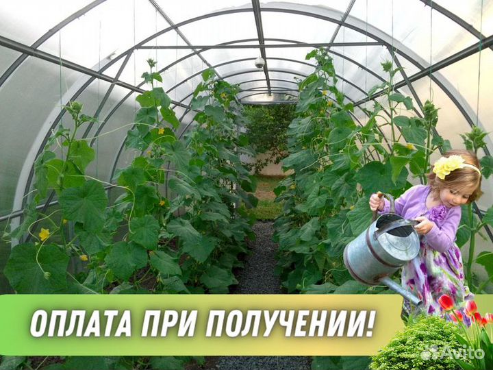 Теплицы из поликарбоната