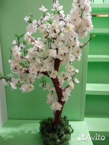 Дерево Сакура. Новое. Высота 75 см