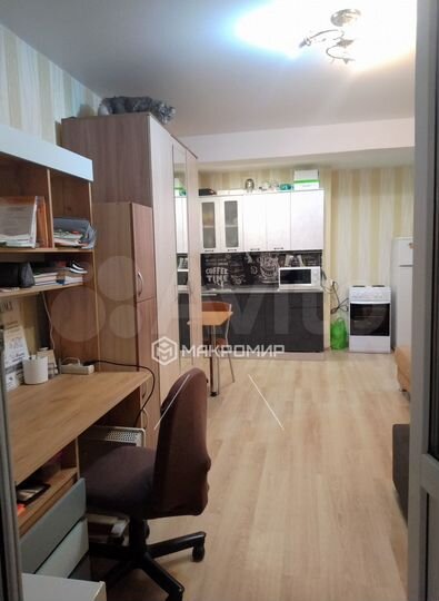 Квартира-студия, 26,7 м², 1/17 эт.