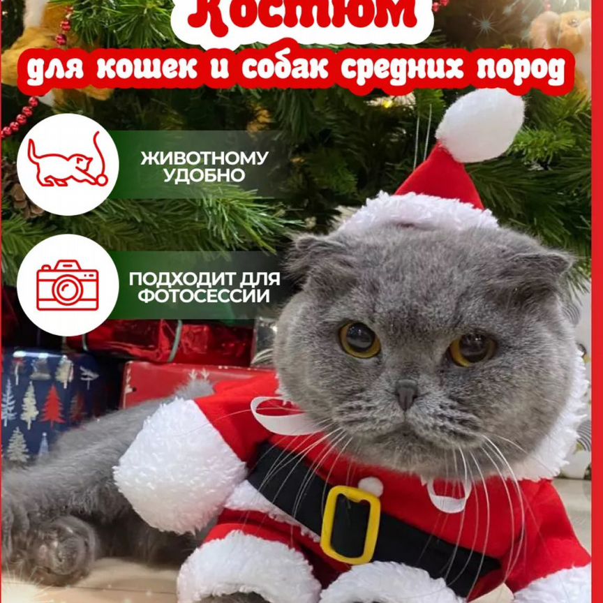 Новогодний костюм для питомцев