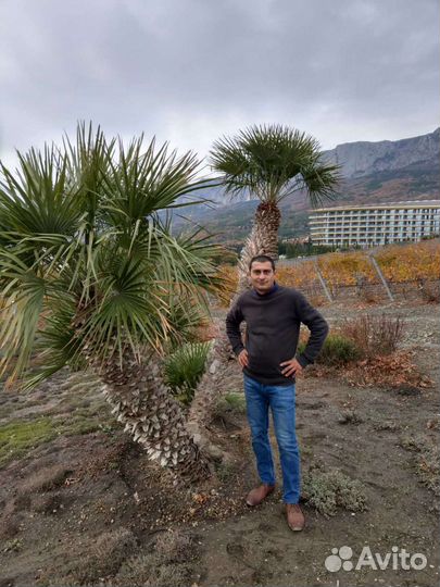 Услуги сантехника Севастополь