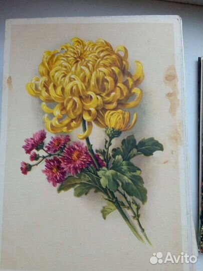 Открытки СССР