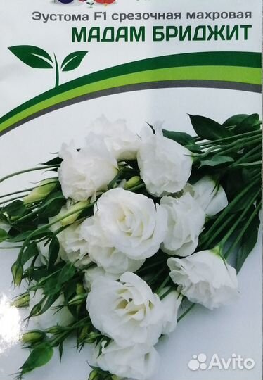 Эустома рассада