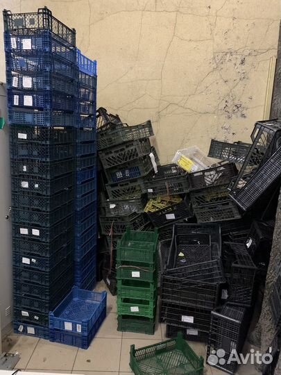 Пластиковые ящики для продуктов