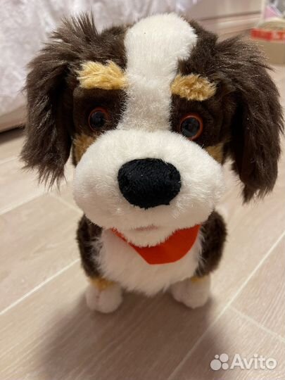 Интерактивная собака Billo