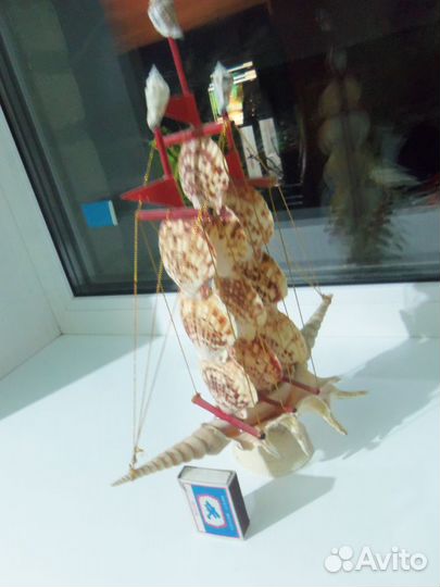 Морские ракушки