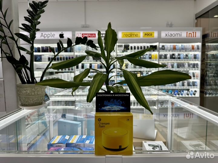 Яндекс станция лайт 5вт Жёлтый