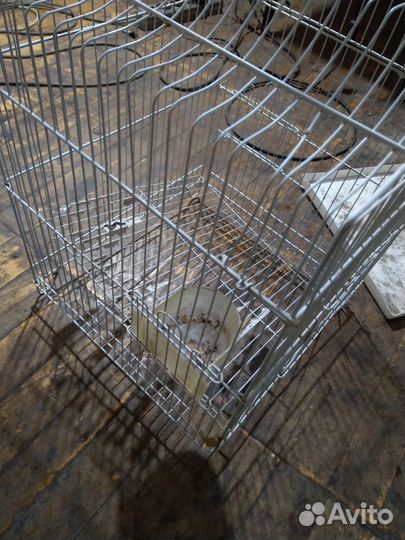 Клетка для попугая