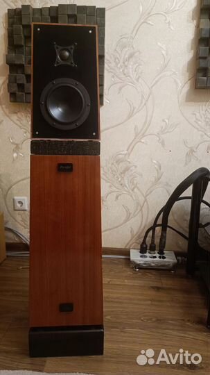 Verity Audio Parsifal