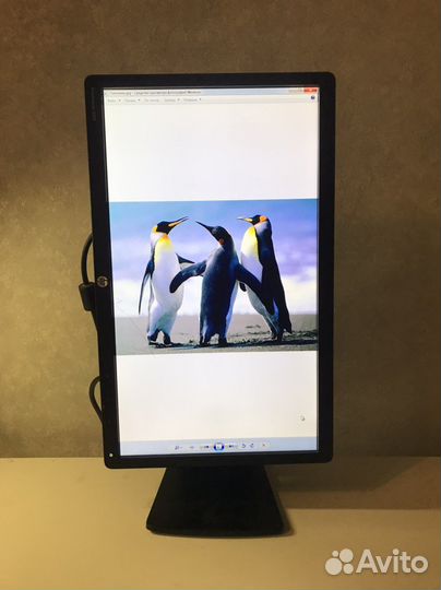 Монитор hp 20 дюймов с передвижной ножкой