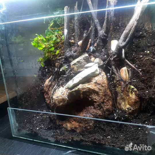 Террариум/флорариум под ключ