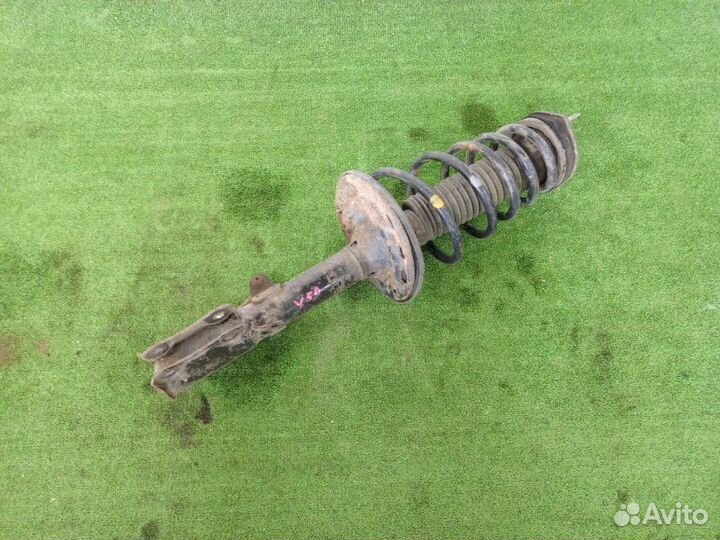 Амортизатор подвески задний правый Toyota Camry