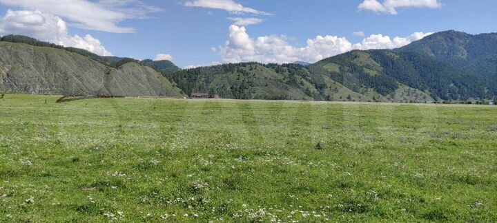 Участок 10 сот. (СНТ, ДНП)