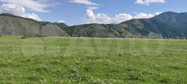 Участок 10 сот. (СНТ, ДНП)