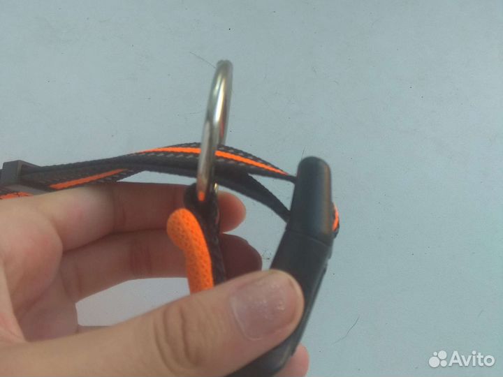 Ошейник для собак