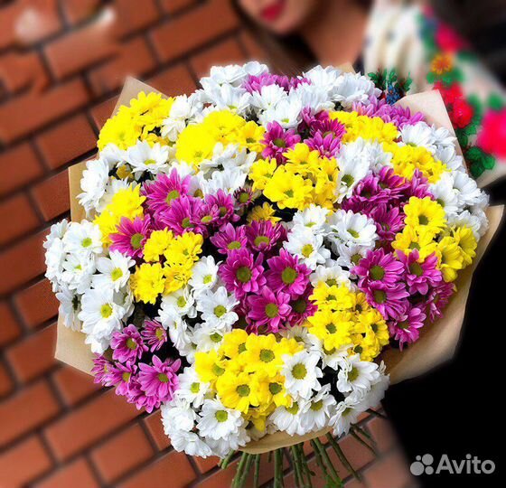 Хризантема кустовая Цветы