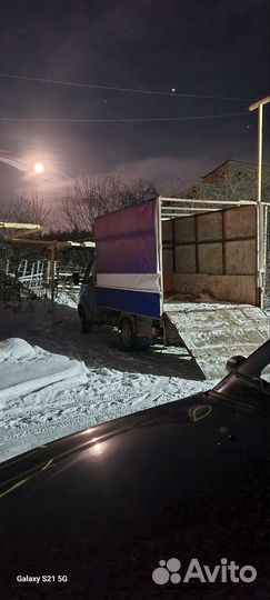 Перевозка животных по россии