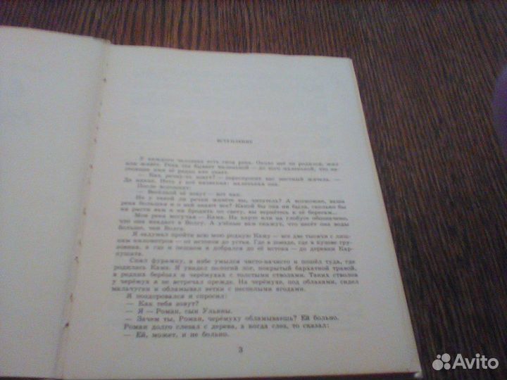 Романовский. Синяя молния.1980 год