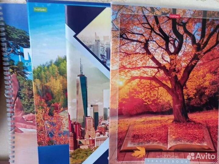 Тетради общие