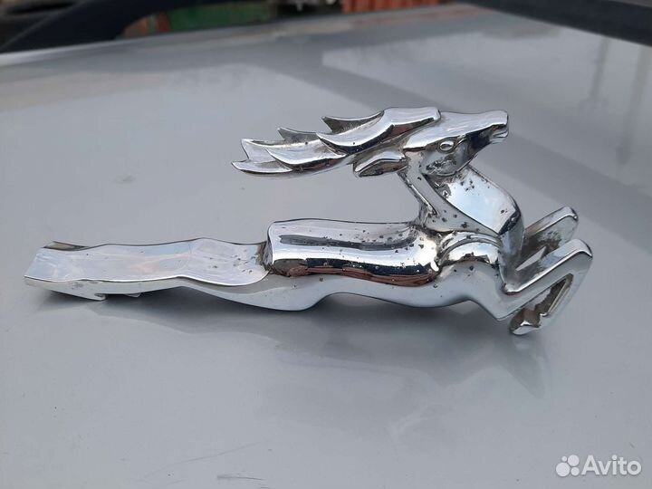 Олень на волгу 21