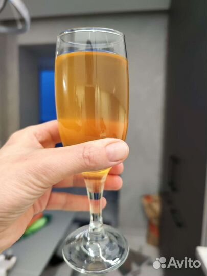 Винный гриб