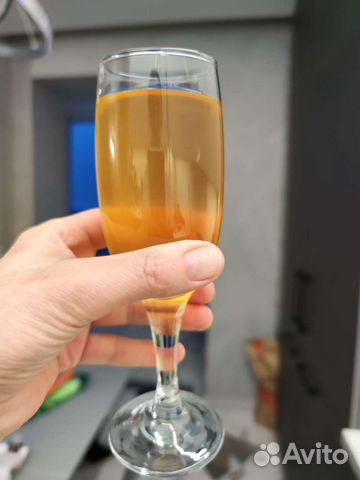 Винный гриб