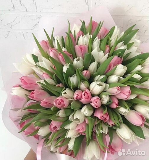 Тюльпаны, Пионы, 31,51,101,201, Тюльпан, цветы