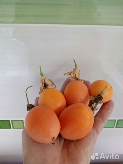 Семена пасифлёры