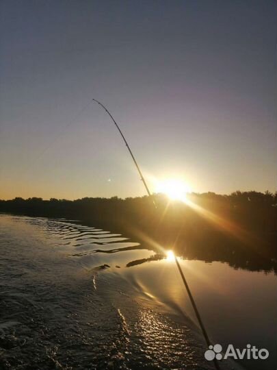 Катер quintrex 455