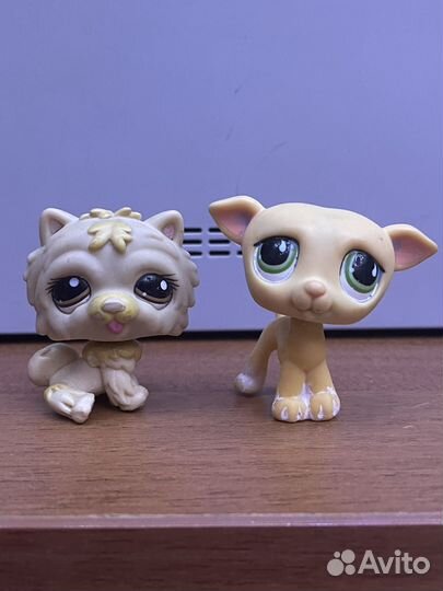 Собачки лпс на доставку