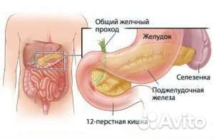 Паста на меду и без, Поджелудочная Железа
