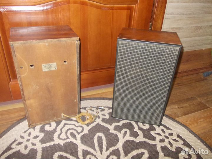 Колонки акустика Вега 3 ас-505