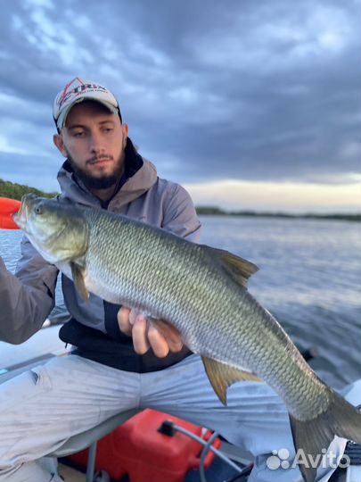 Рыбалка с гидом