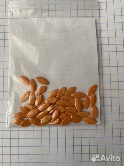 Семана огурцов, томатов от агрофирмы Партнёр