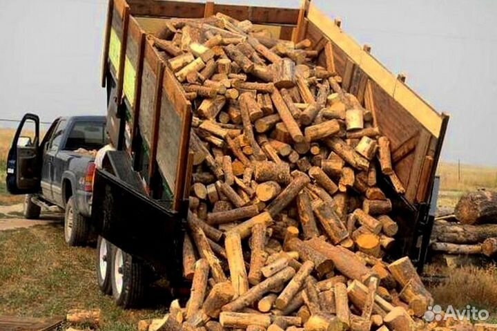 Дрова в область