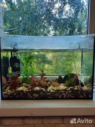 Аквариум