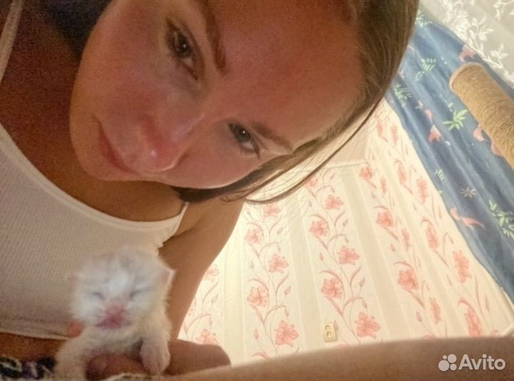 Выкорм новорожденных животных