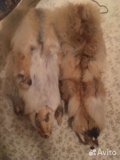 Шкурки лисы