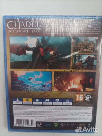 Citadel Forget with fire