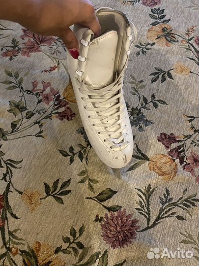 Фигурные коньки Edea Размер 250