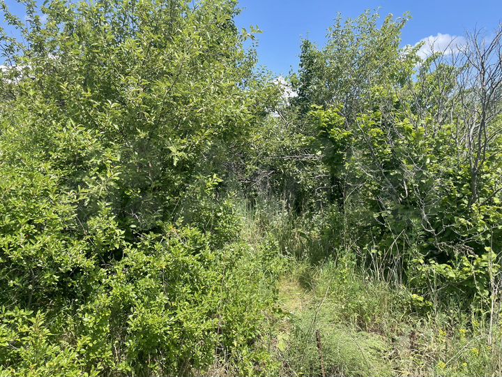 Дача 21 м² на участке 6,2 сот.