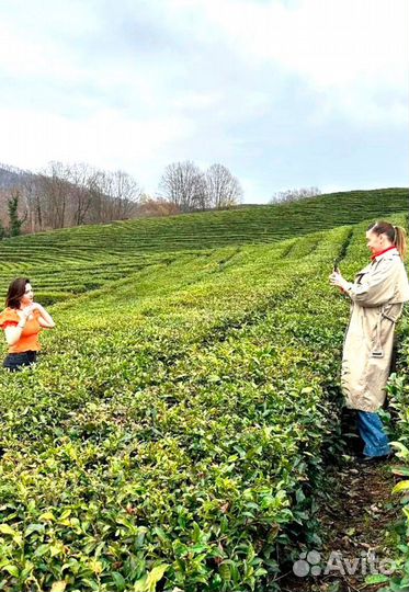 Экскурсия по горам Мацесты