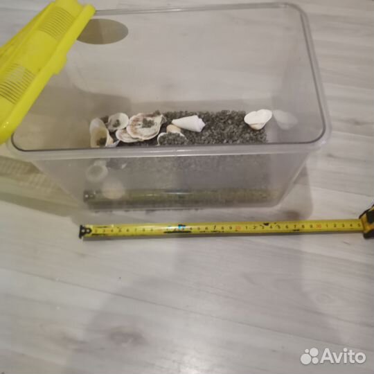 Аквариум - террариум для переноса